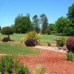 337 Greenfield Circle