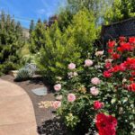 6351 Stone Bridge Road