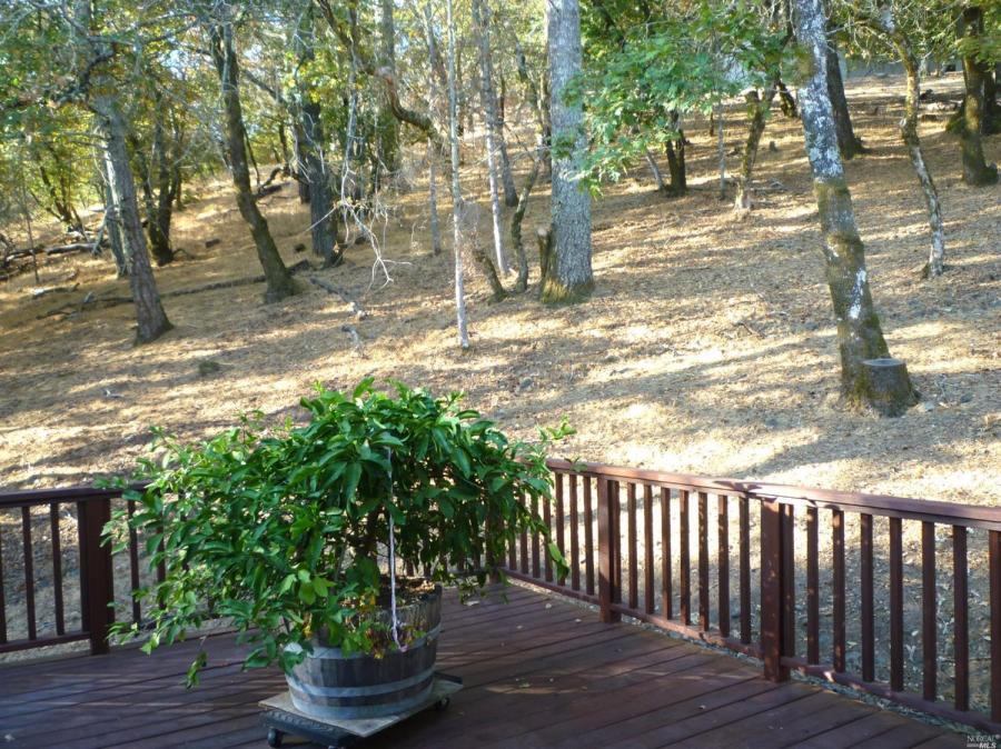 466 Starry Knoll Court