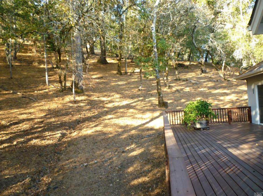 466 Starry Knoll Court