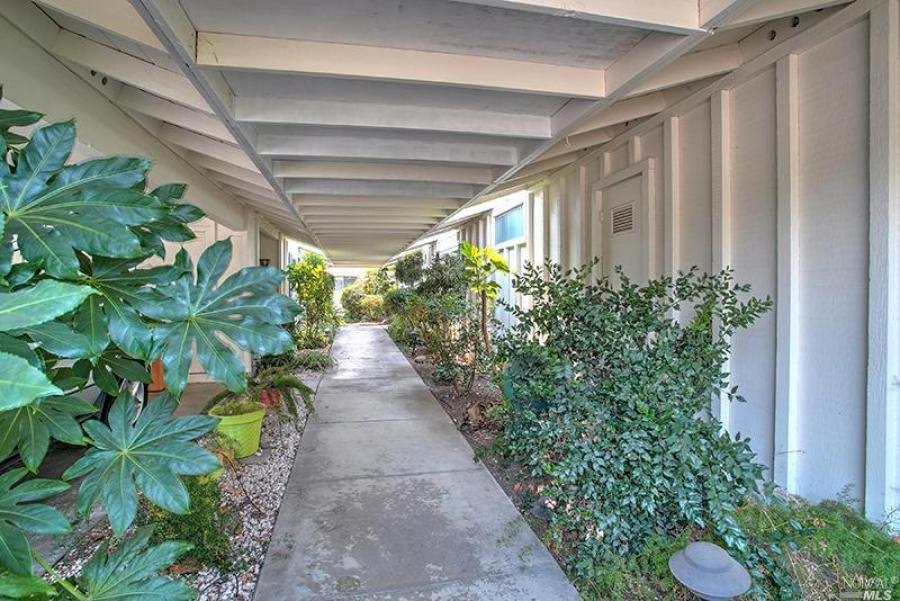 210 White Oak Drive