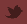 twitter icon