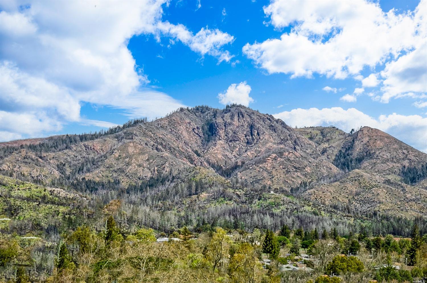 7064 Overlook Drive