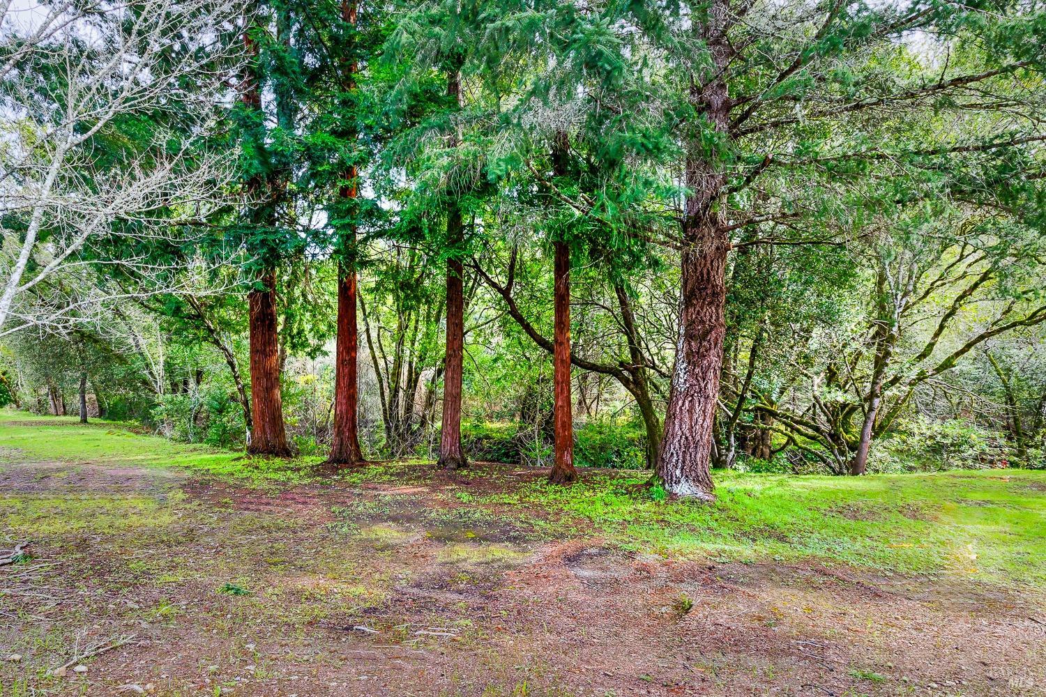 331 Stone Creek Circle