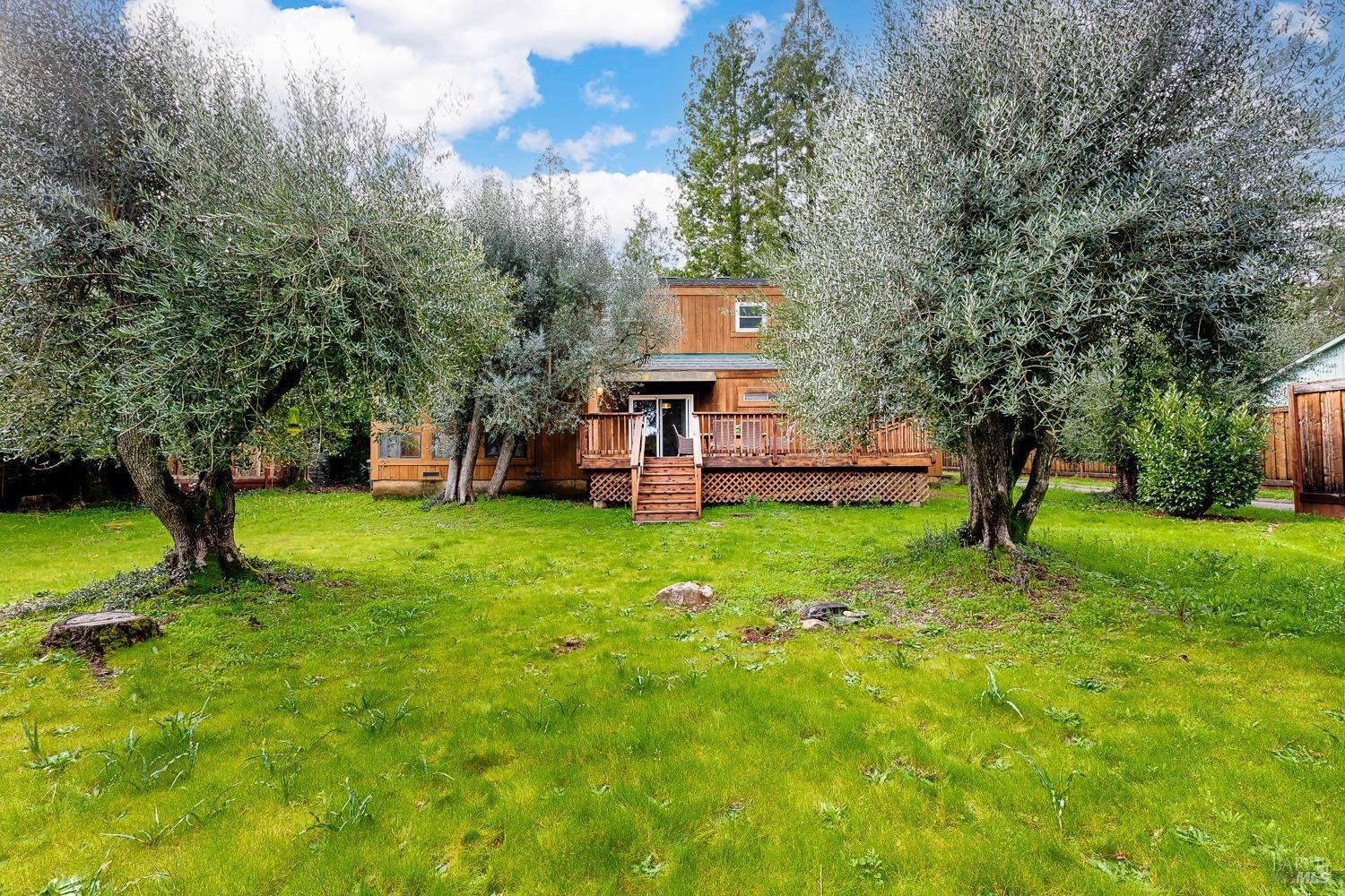 1050 Los Olivos Rd   in NE Santa Rosa