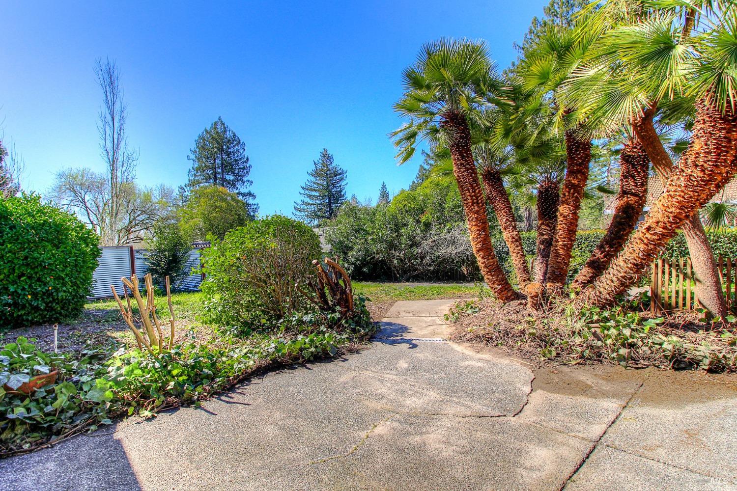 6117 Van Keppel Rd, in Forestville