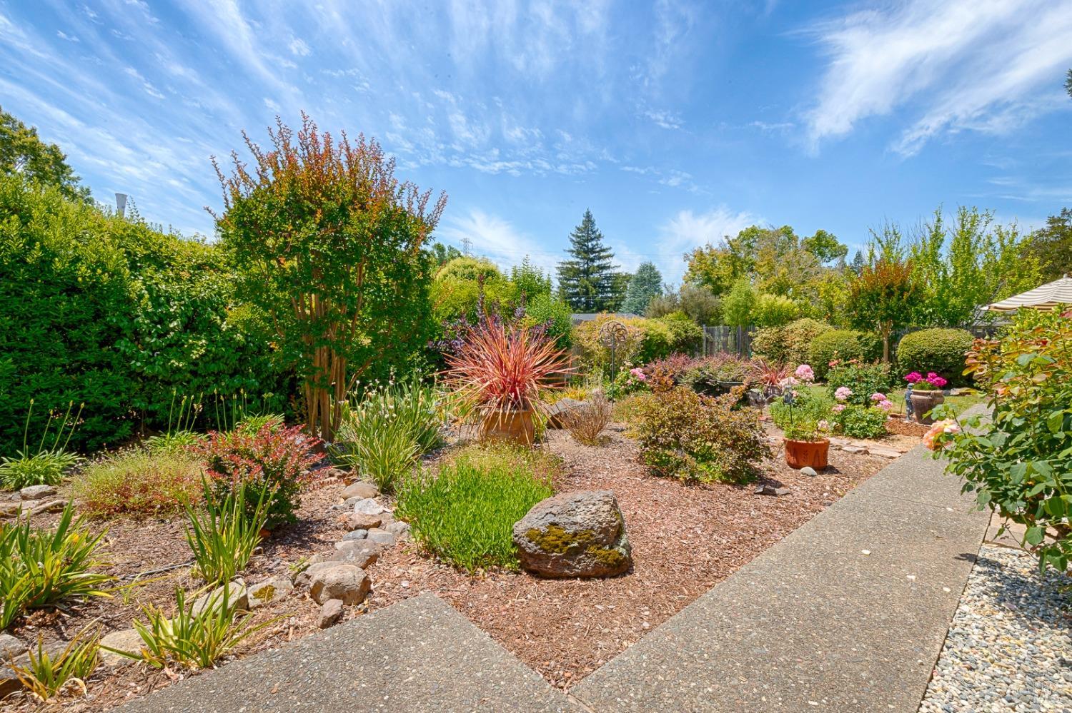145 Valley Oaks Drive