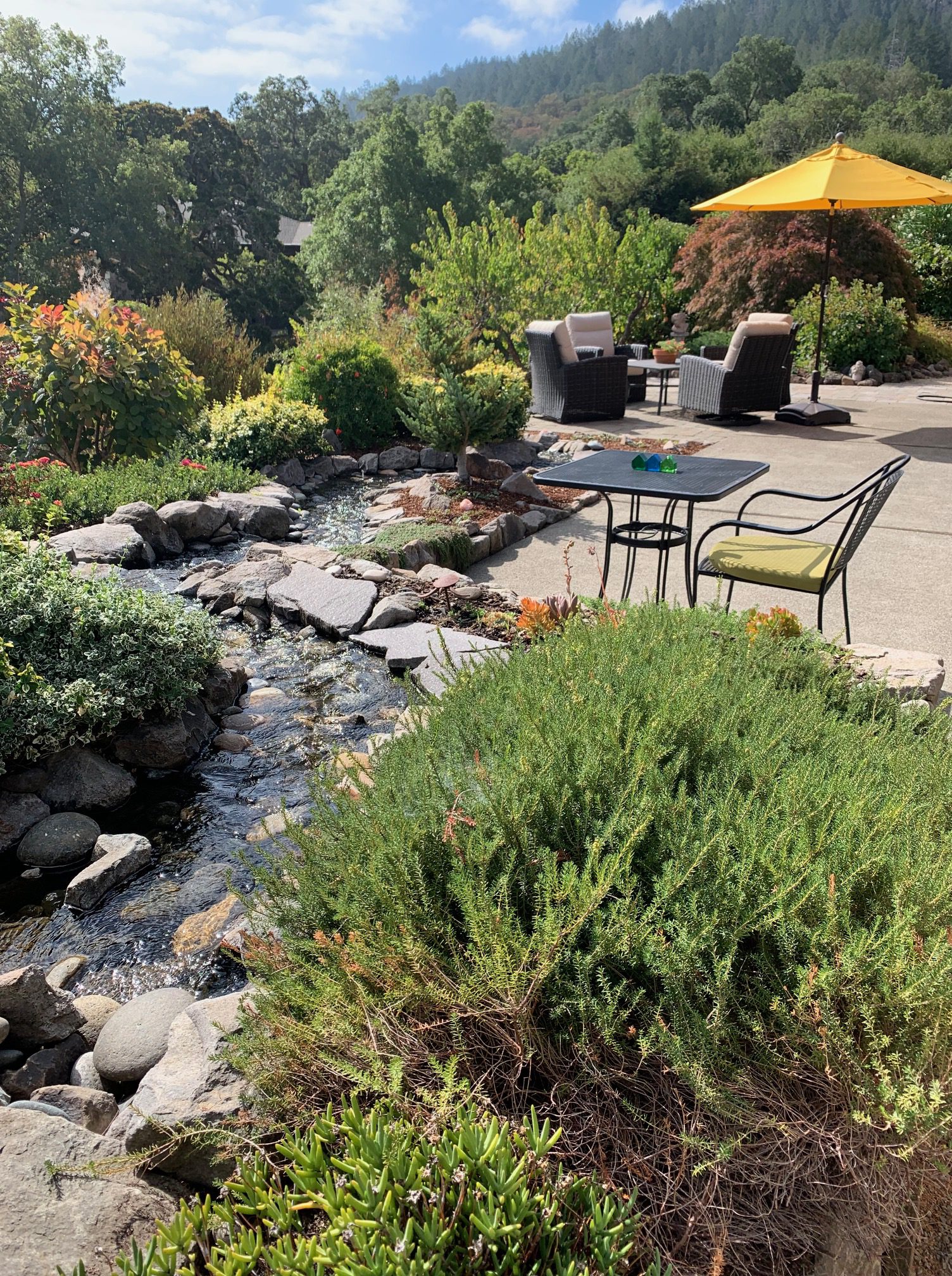 480 Oak Brook Court
