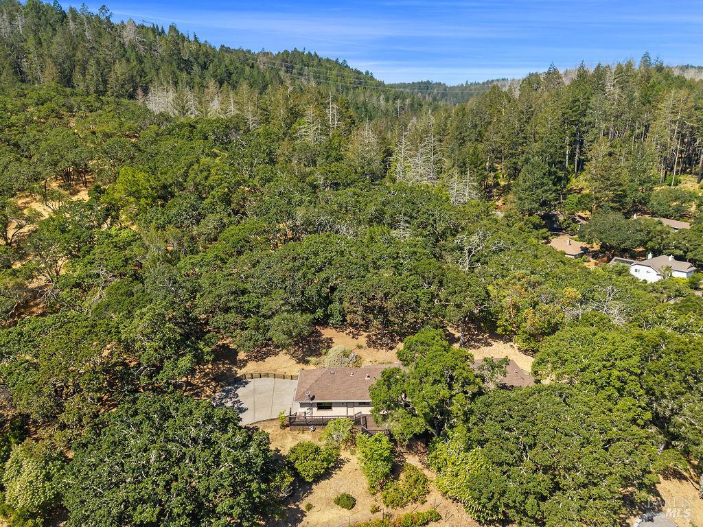 411 Trail Ridge Court