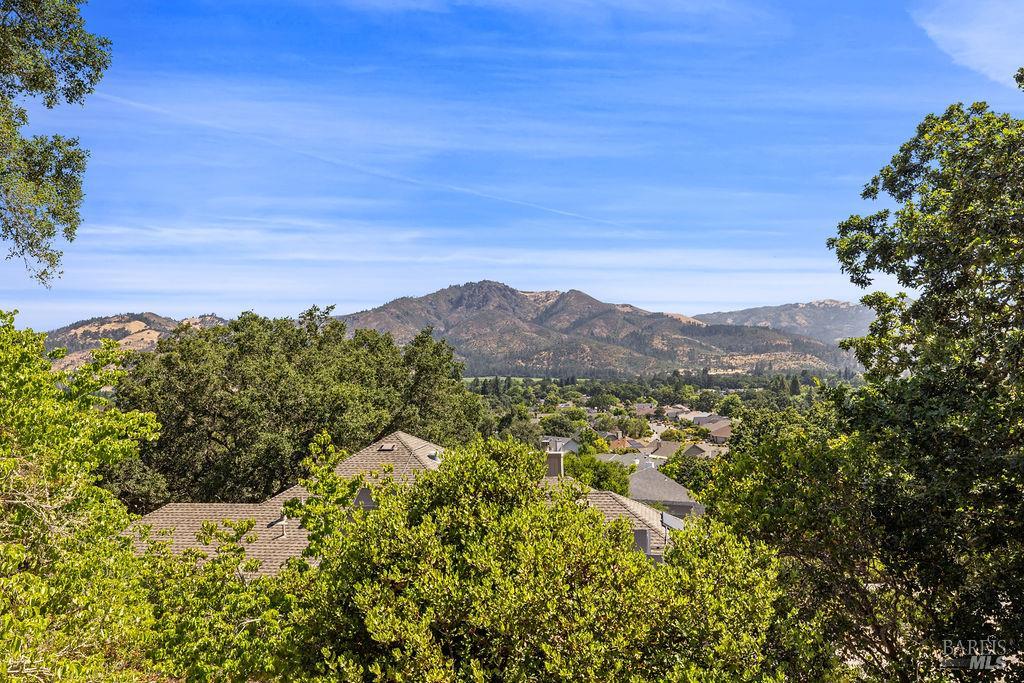 411 Trail Ridge Court