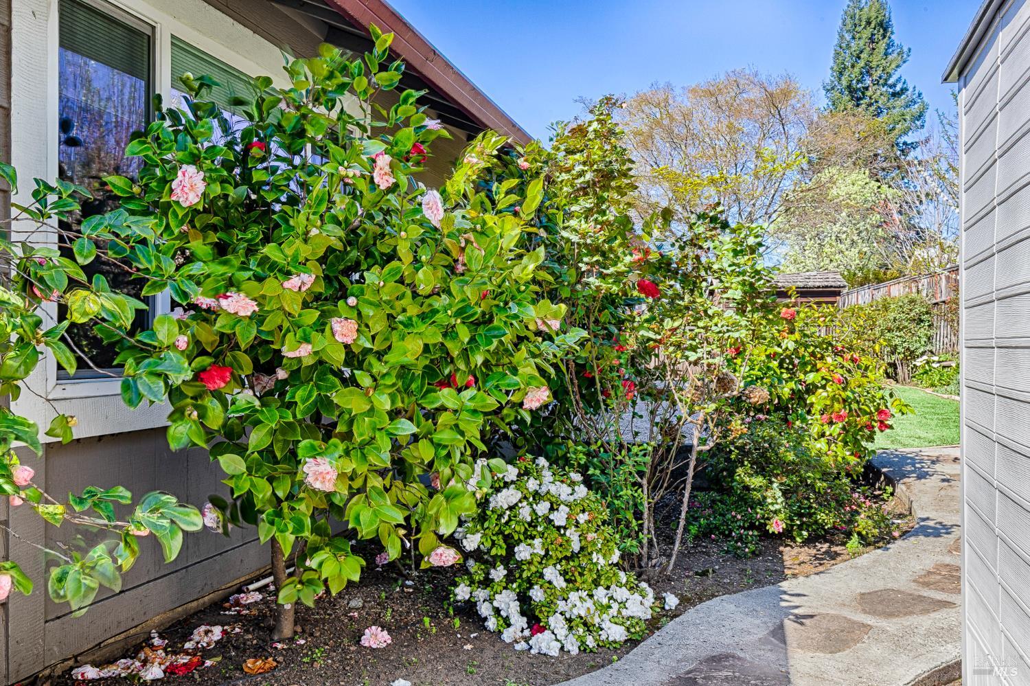 8886 Oakmont Drive
